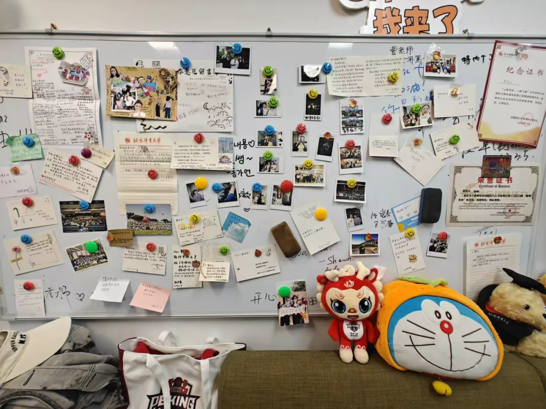 体8.png